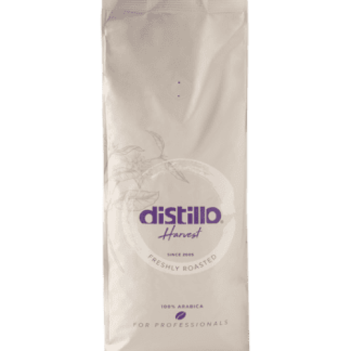 Distillo Blossom – Medium Roast